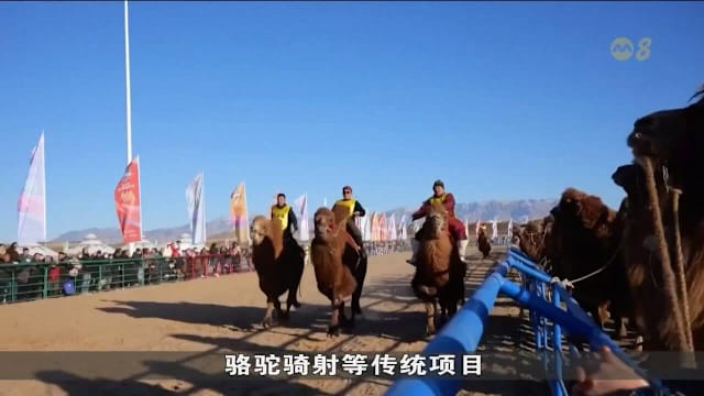 曼城助教：瓜迪奥拉能指挥与水晶宫比赛，罗德里仍无法登场（曼城助教：瓜帅可指挥战水晶宫，罗德里依旧缺席）