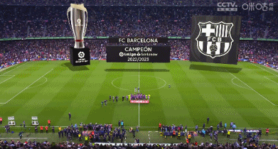 2025全国青少年软式曲棍球联赛总决赛落幕